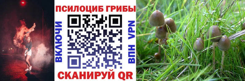 Галлюциногенные грибы Magic Shrooms  Смоленск 